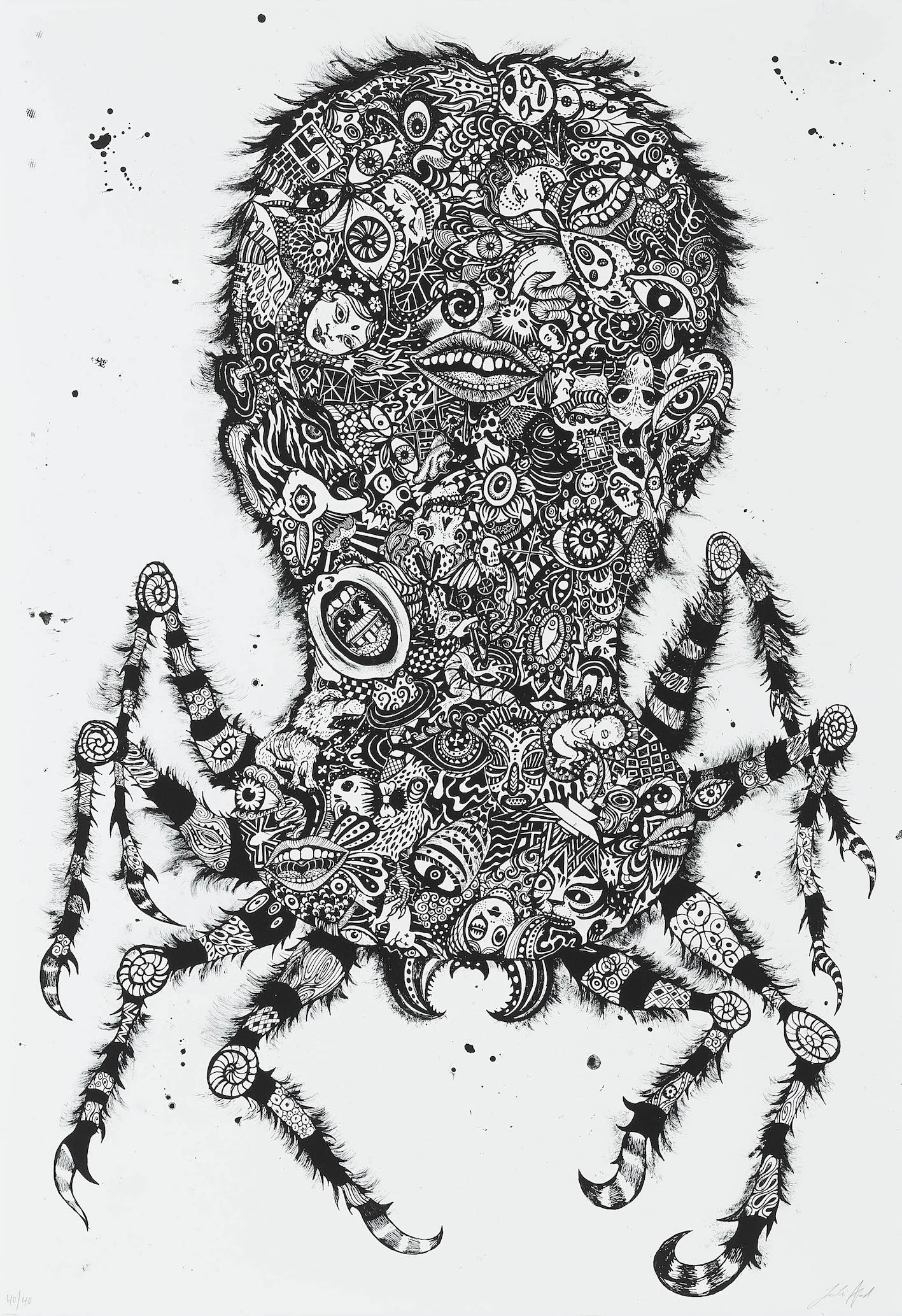 Common House Spider, Black (2015)